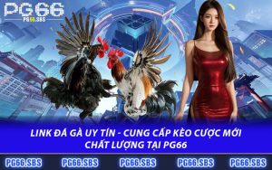 Link Đá Gà Uy Tín - Cung Cấp Kèo Cược Mới Chất Lượng Tại PG66
